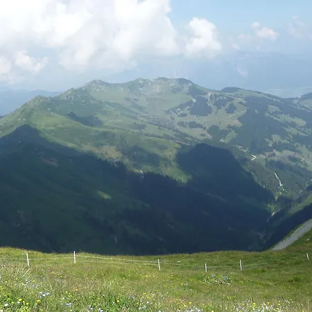 Apartements Birkenhof Apartment